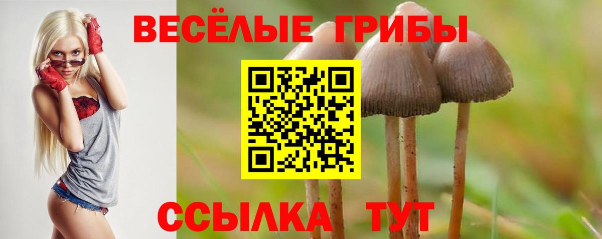Майский  купить наркотик  Псилоцибиновые грибы Psilocybe  Вход с VPN  Псилоцибиновые грибы Psilocybine cubensis 